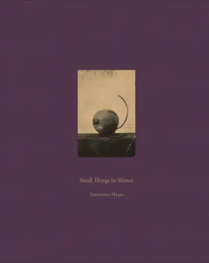 SMALL THINGS IN SILENCE THIRD EDITION