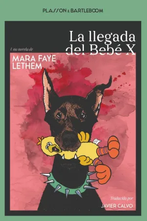 LA LLEGADA DEL BEBÉ X